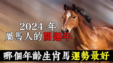 馬年出生的人|屬馬今年幾歲？2024屬馬生肖年齡對照表！屬馬性格特質